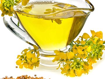A transparent cup of canola oil surrounded by canola flowers and seeds
