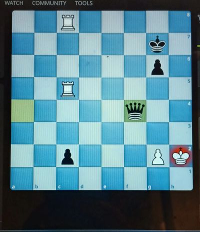 Chess game screenshot with white and black pieces on the board.