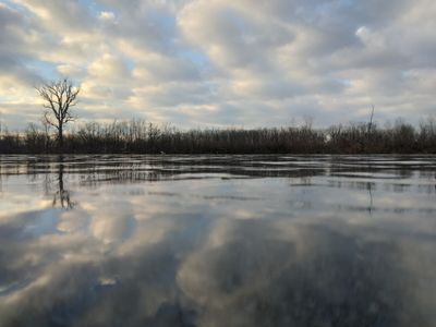 A cloudy sky reflected on a calm water surface with trees.
