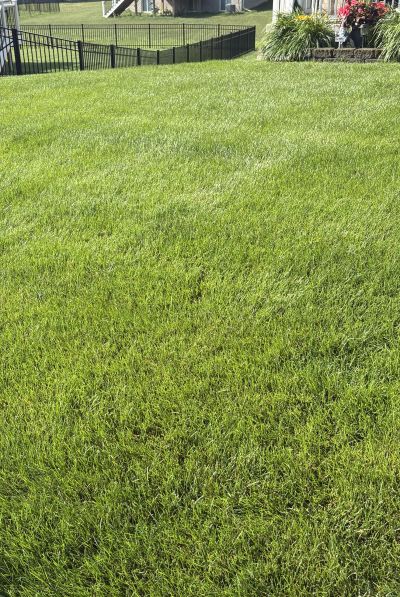 Well-maintained green lawn with fences and flowerbeds.