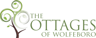 Cabin Rentals And Lodging In New Hampshire Lake Winnipesaukee