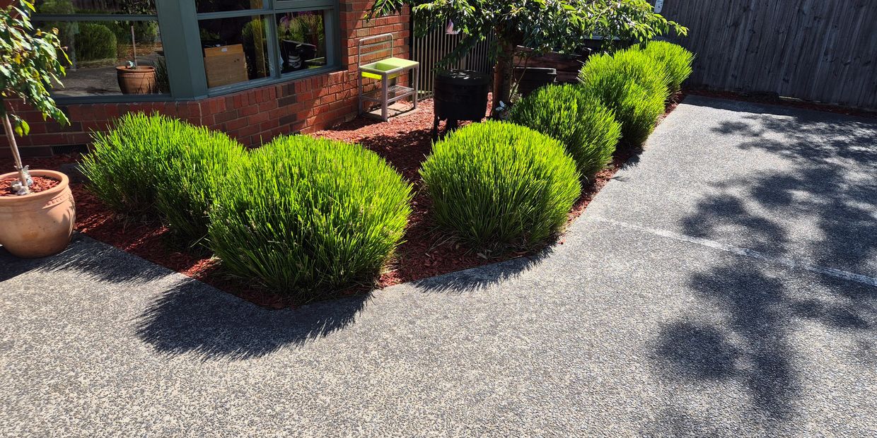 Fresh Looking Garden Bed