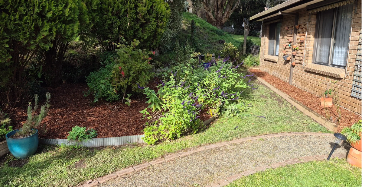 Fresh New Mulched Garden Beds