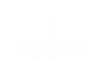Andiamo in Italia Tours
