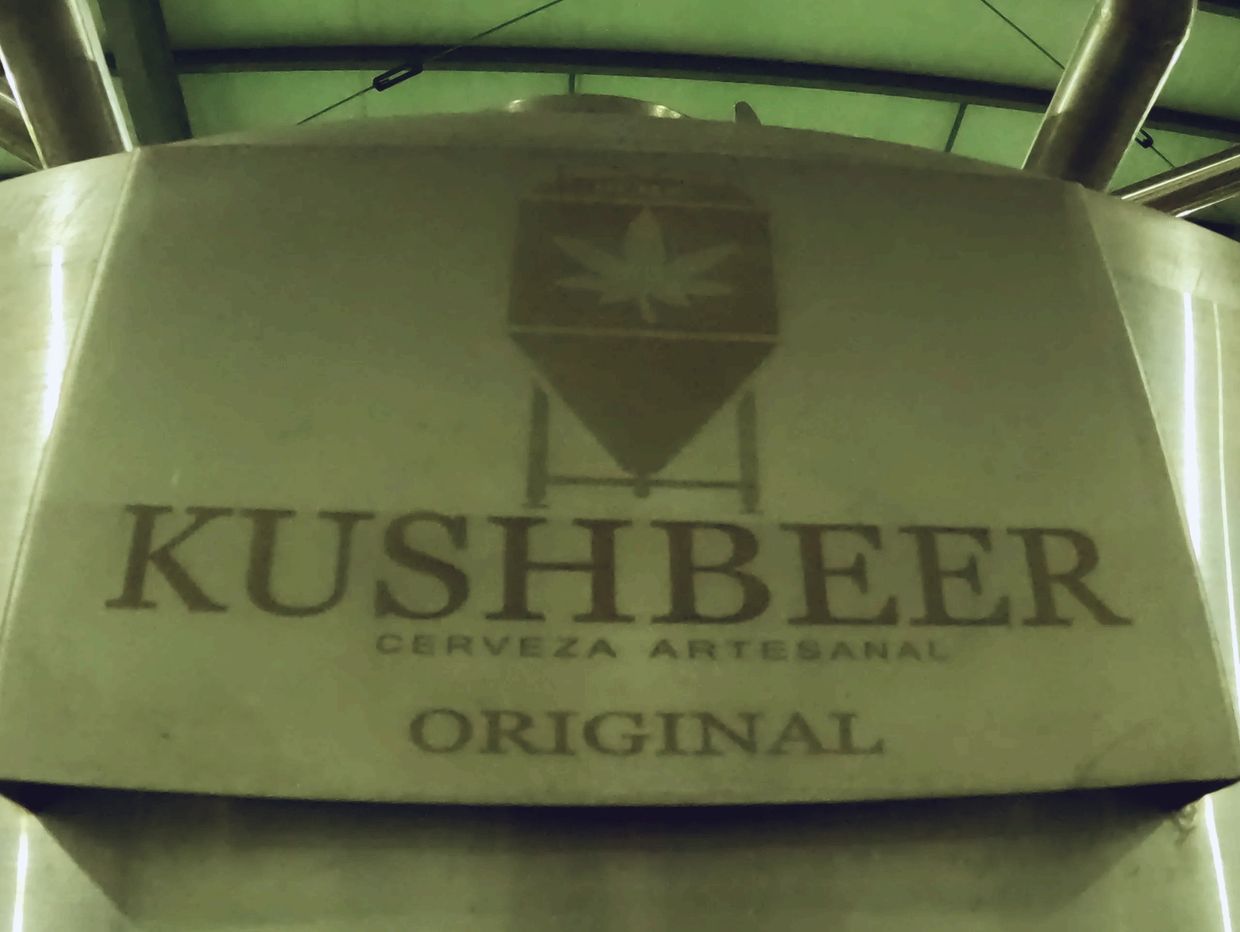 En Kushbeer disfrutaras de nuestra cerveza recién elaborada con los mas altos estándares de calidad.