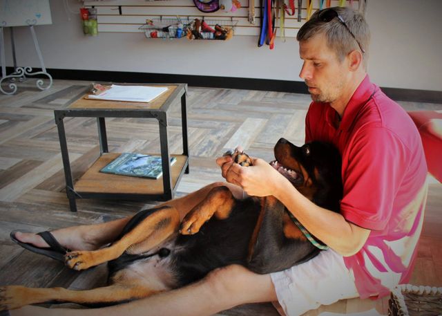 Tommy Stark working one-on-one with a dog