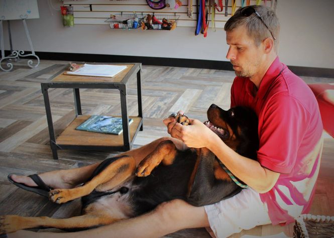 Tommy Stark working one-on-one with a dog