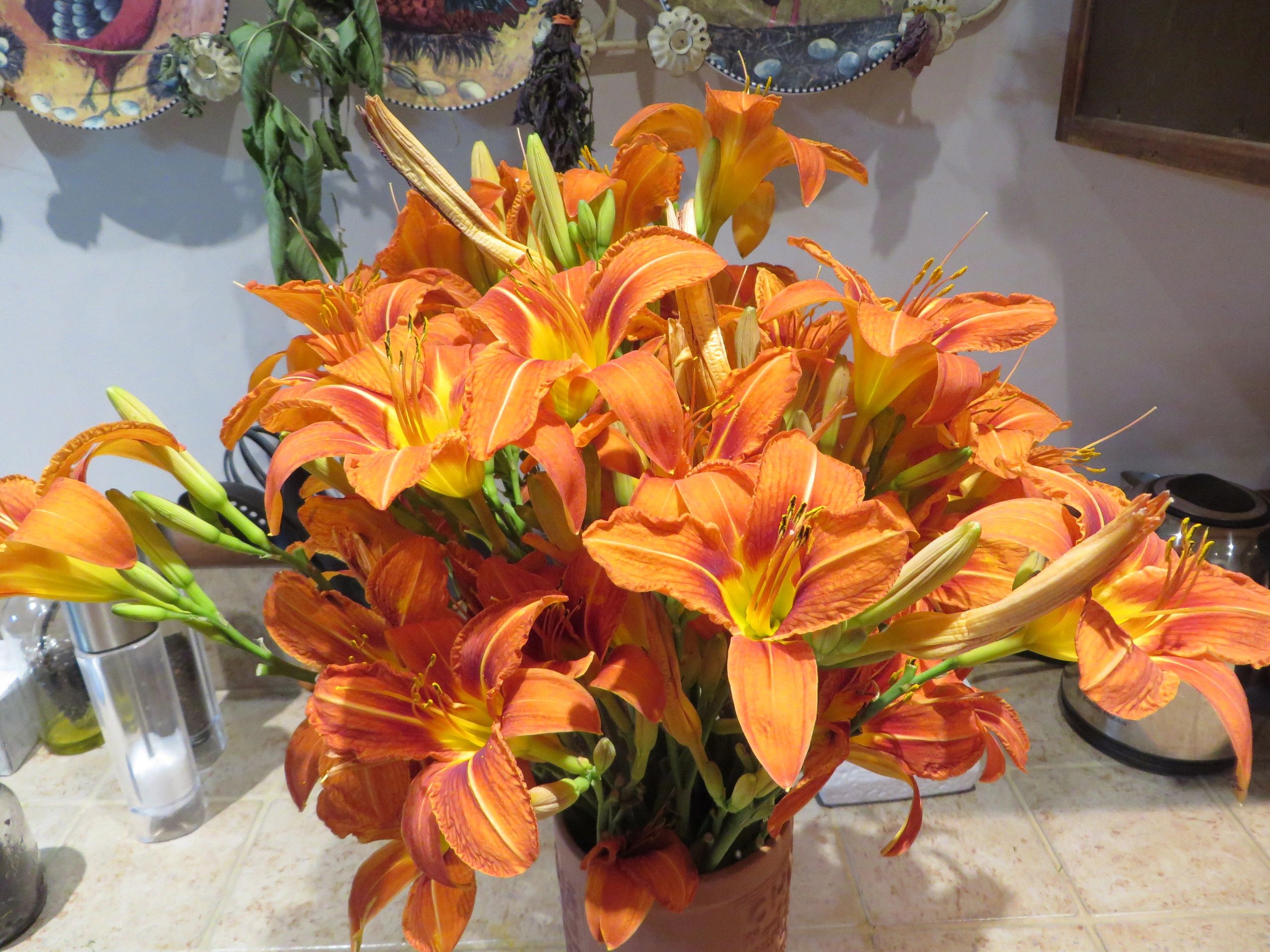 Un beau bouquet d'Hémérocalles (Hemerocallis)...entièrement comestible!