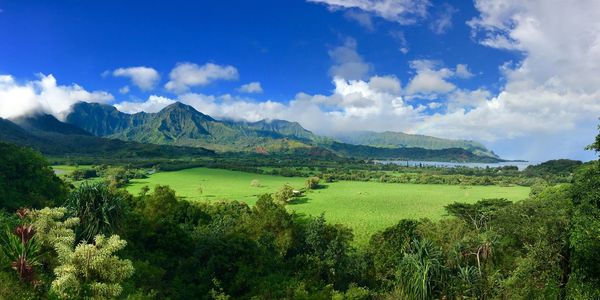 Hanalei Valley, Kaua'i