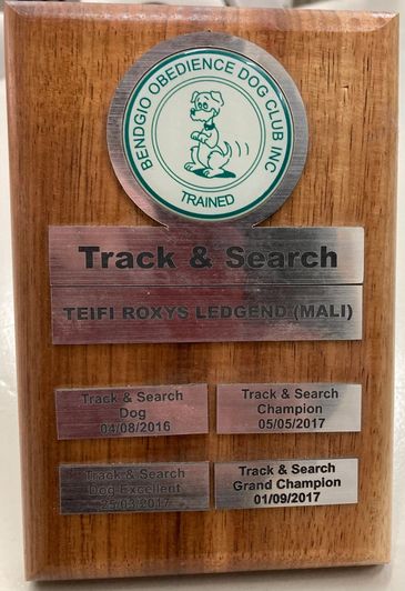 Track &amp; Search award plaque from Bendigo Obedience Dog Club Inc.
