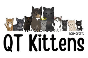 QT Kittens