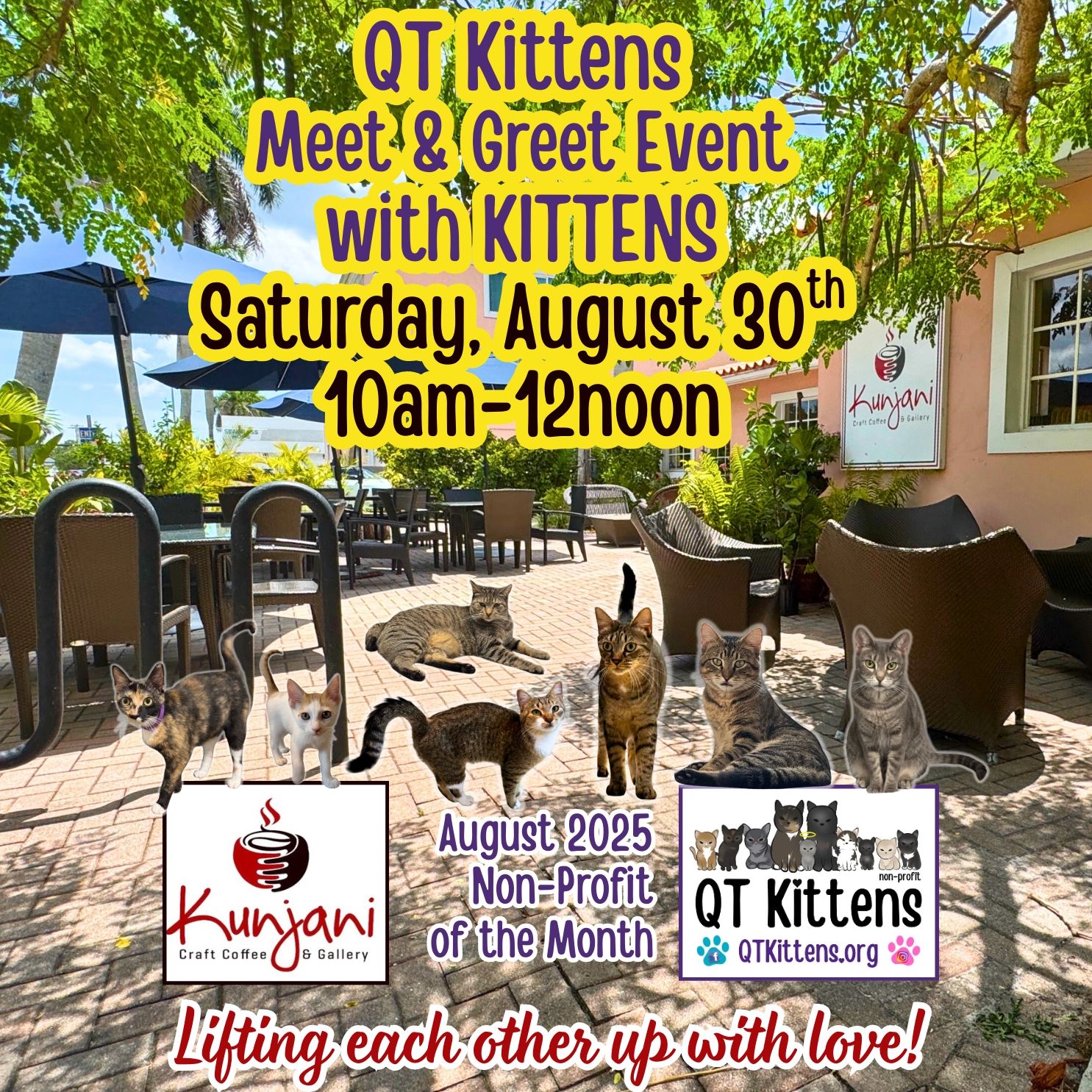 QT Kittens Meet & Greet Event with Volunteers & KITTENS at Kunjani Craft Coffee & Gallery