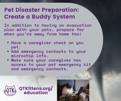 Pet Disaster Preparation: Creat a Buddy System