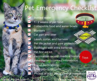 Pet Emergency Checklist