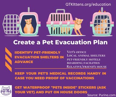 Create a Pet Evacuation Plan