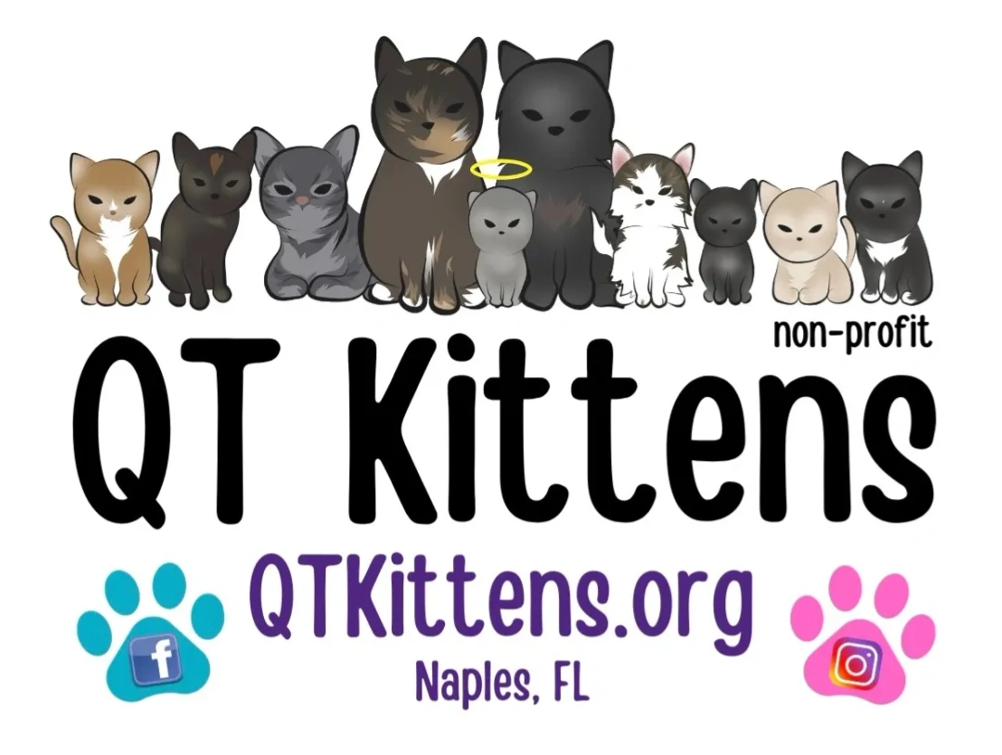 QT Kittens Logo