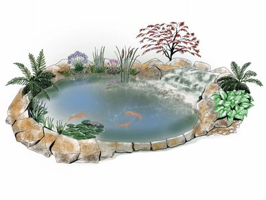 Digital pond design picture