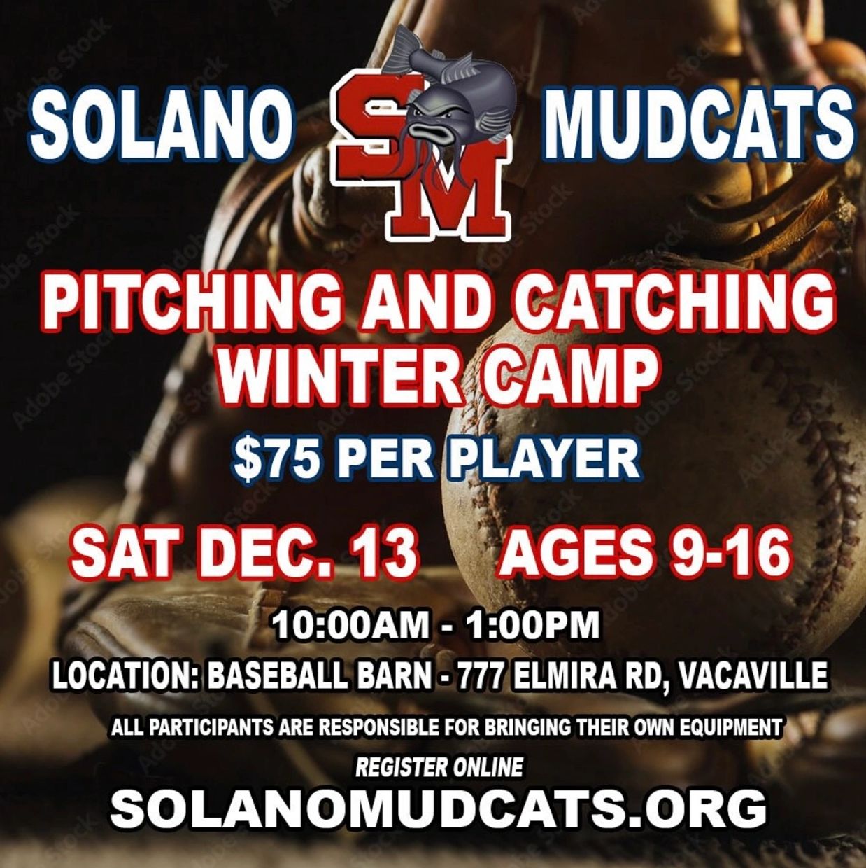 Solano Mudcats Baseball