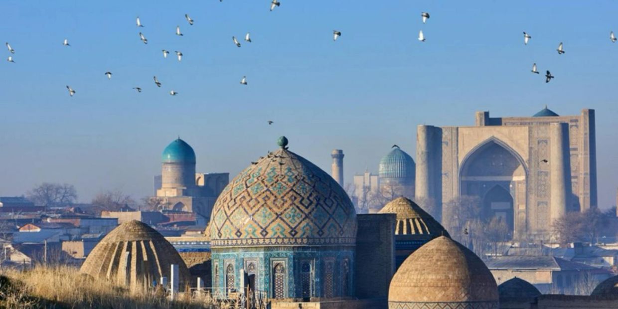 Historic buildings with domes and flying birds.