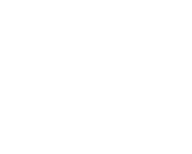 VILLAS VALET 