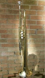 AS1010 Alto Saxophone