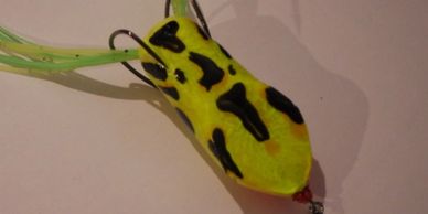 Frog Color Patterns | Gypsy Jack LLC