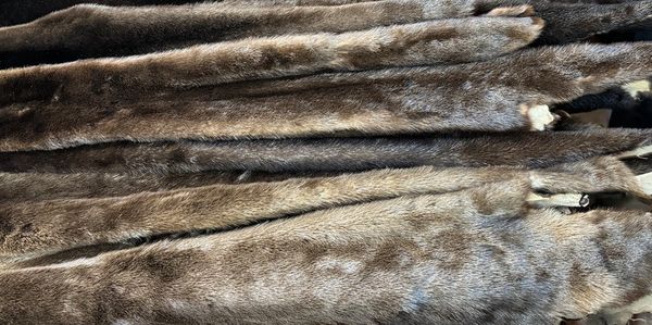 Otter pelts.
