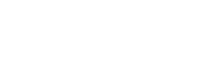 Efficient Energy Solutions, LLC.
