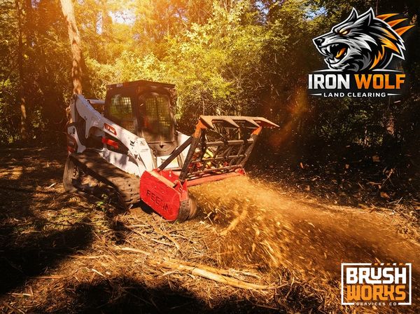 Tracked machine clearing land with brush cutter in forest.