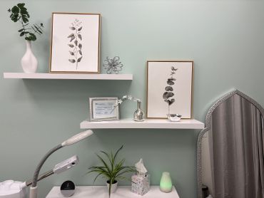 Minimalist wall shelves with plant art and decor.