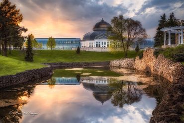 Marjorie McNeely Conservatory Saint Paul Minnesota St. Paul MN Como zoo Twin Cities 