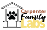 Carpenter Family English Labs