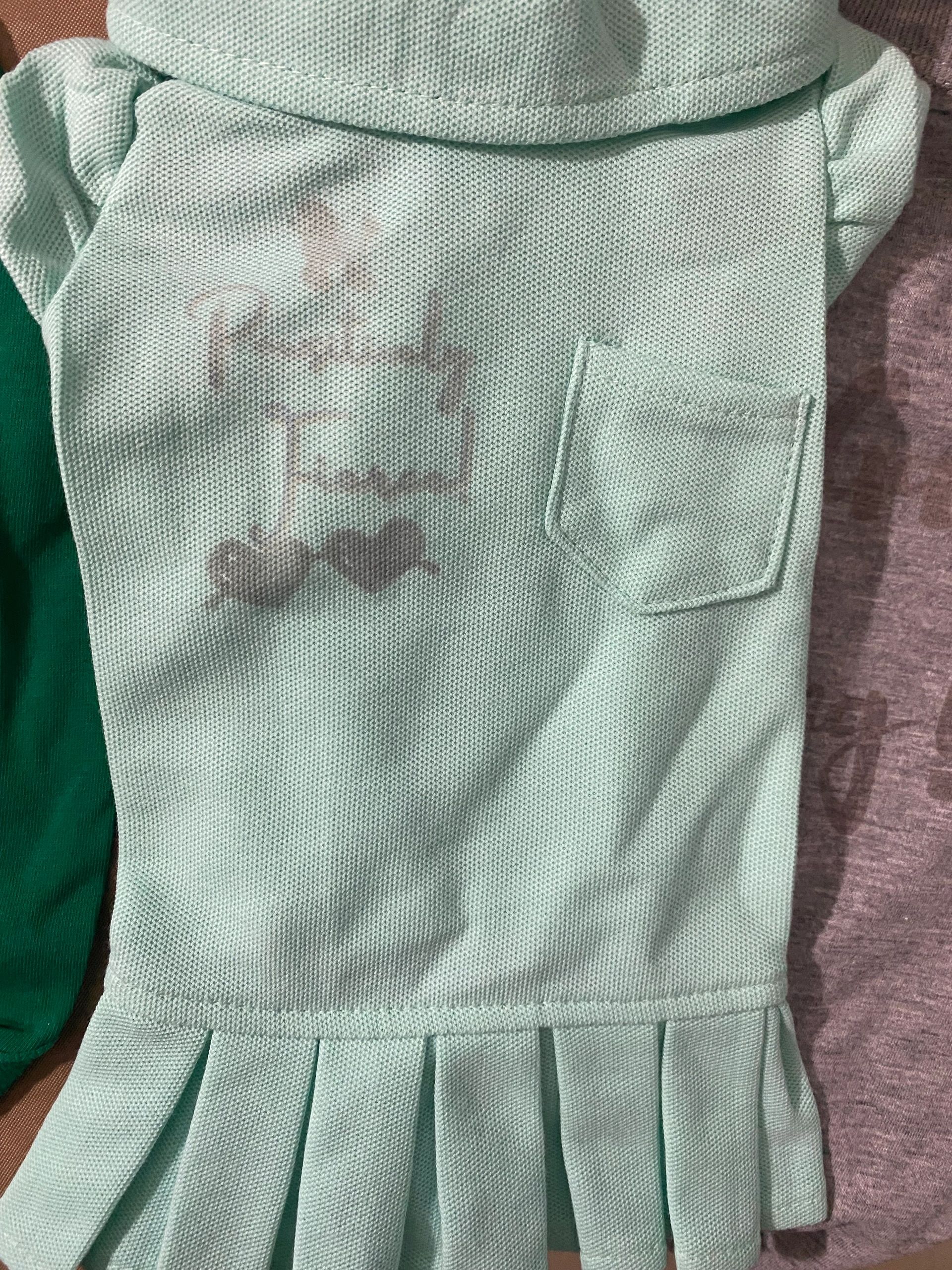 Pawsitively Fierce Custom Mint Green Dog Dress