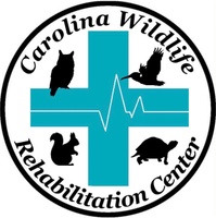 Carolina Wildlife Rehabilitation Center