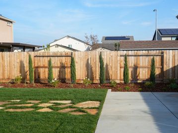Backyard with young plants and wooden fence.