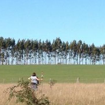 Person taking photo in nature with trees and grass.