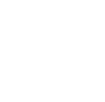 Viajes Anómicos's Logo