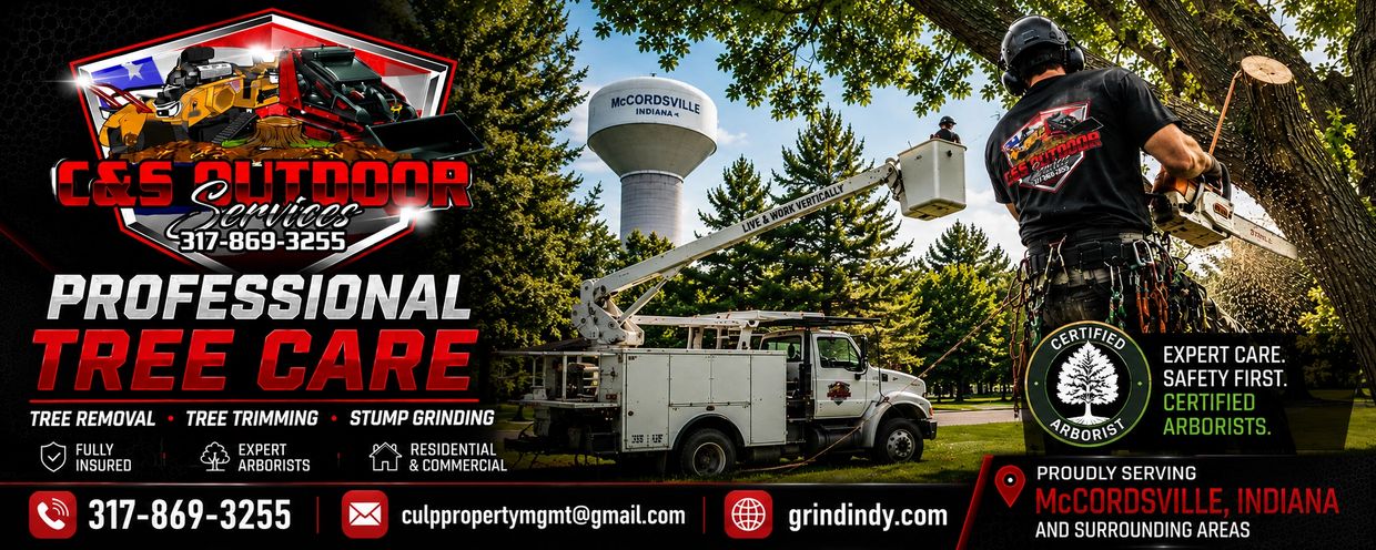 Professional tree care and removal service in McCordsville, Indiana.