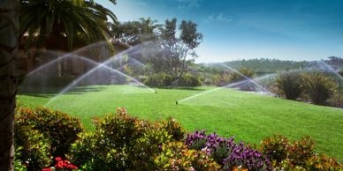 Professional Irrigation Installation - Maximize Water Efficiency and Achieve These Results!