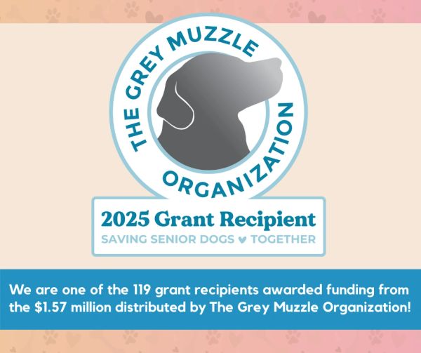 The Grey Muzzle Organization 2025 grant recipient announcement.