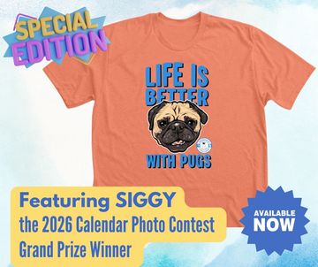 Orange T-shirt with pug illustration and text "Life is better with pugs."