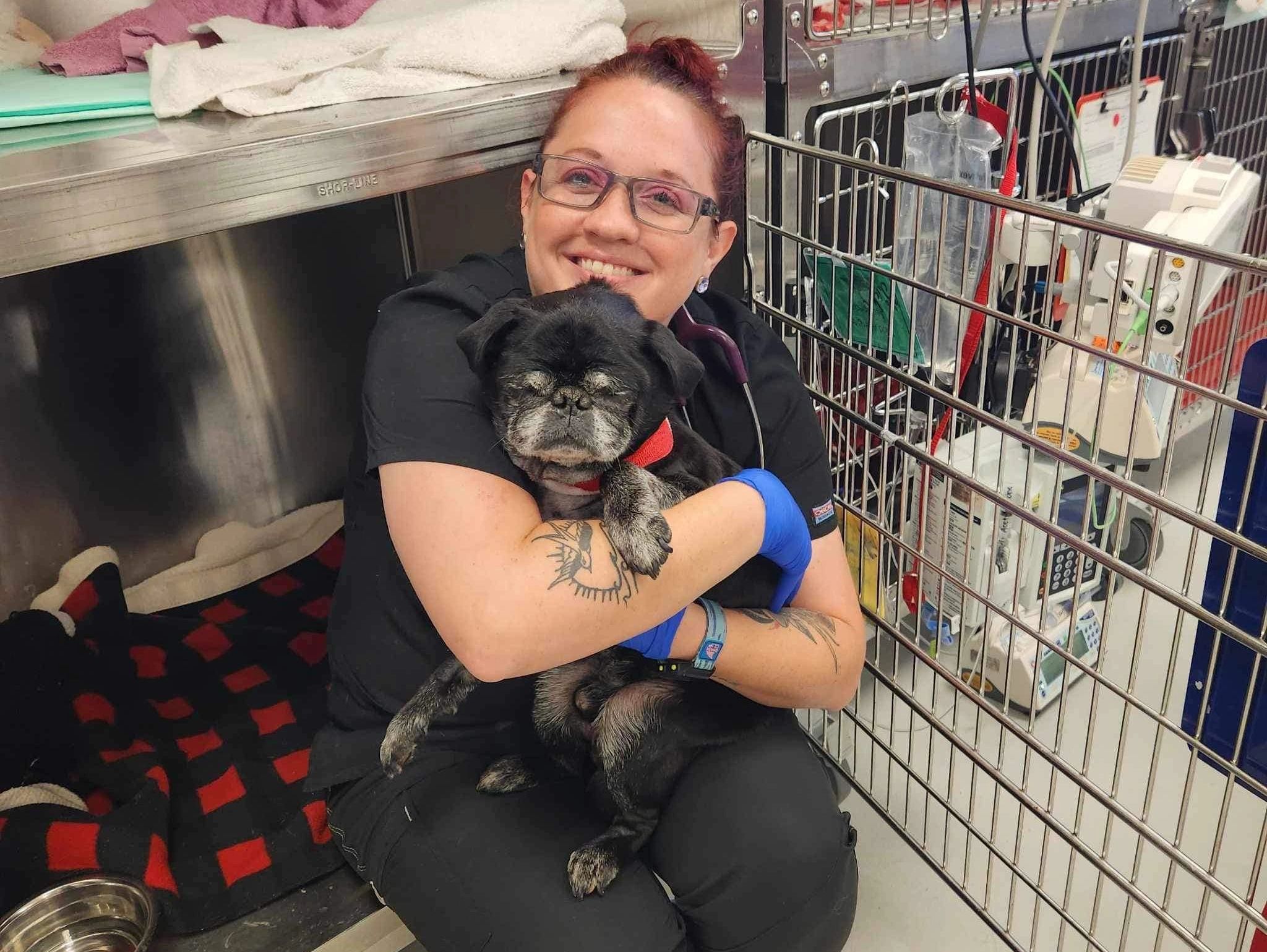Pug Rescue of Florida & Georgia