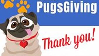 Pugs Giving 2019