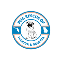 Pug Rescue of Florida
