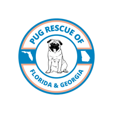 Pug Rescue of Florida