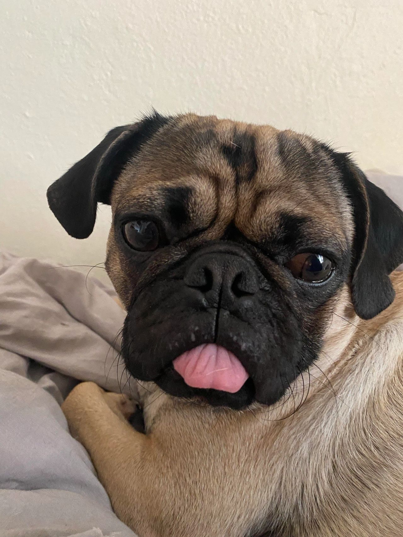 Sweet Rolls, image size:1280x1707