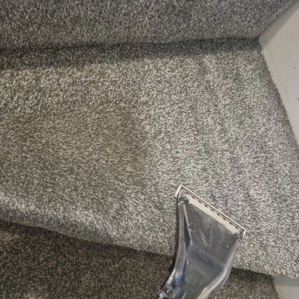 Complete care carpets and upholstery cleaning