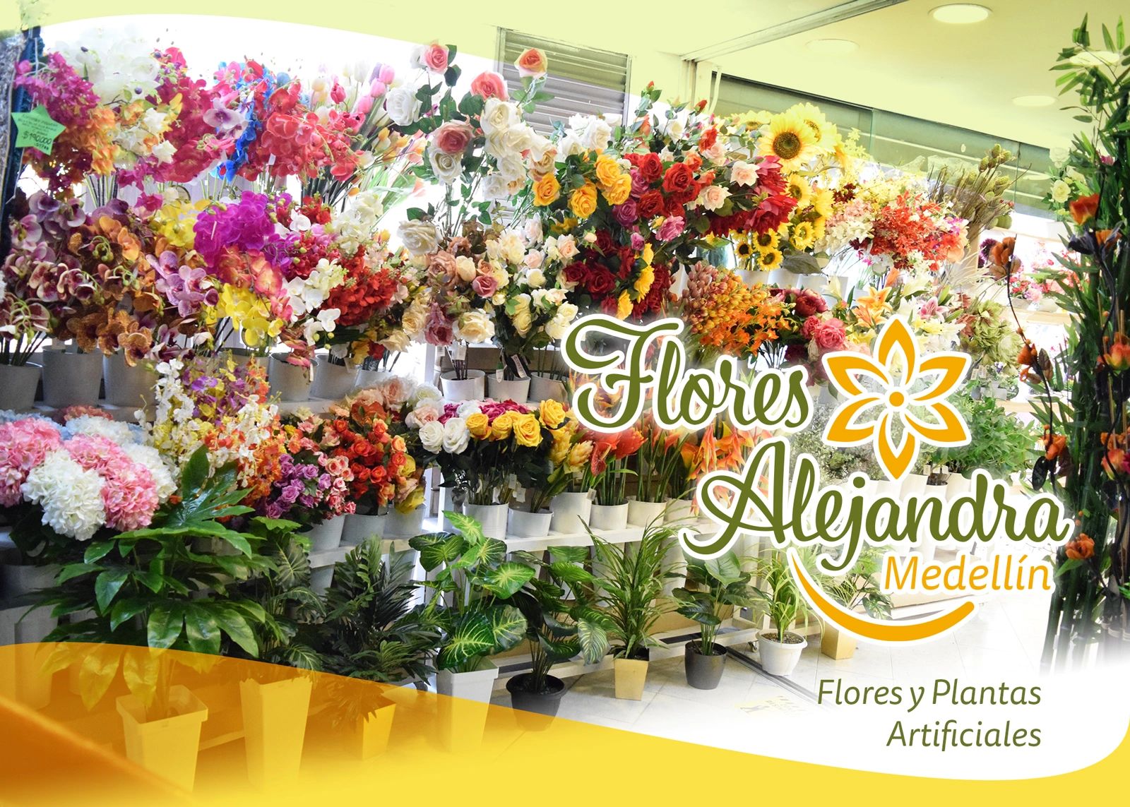 Flores Alejandra Medellín