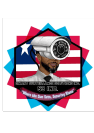 smartsurveillancesolution.com
