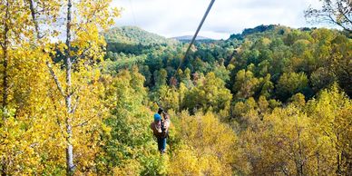 Person ziplining over a forest with autumn foliage.